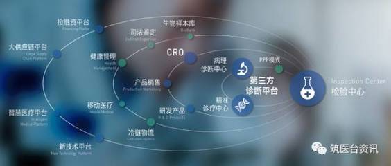 独立医学检验市场四大龙头业绩亮眼，司法鉴定服务成新增长点